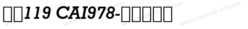 字体119 CAI978字体转换